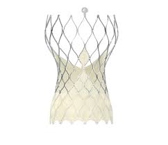 Транскатетерное протезирование клапанов (ТКП)