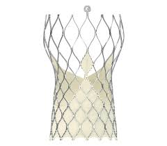 CoreValve Evolut R